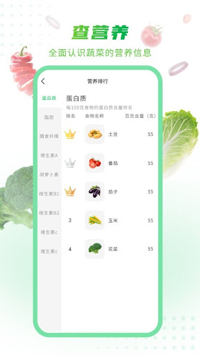 有機(jī)菜食譜