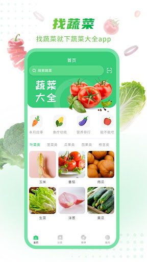 有機(jī)菜食譜